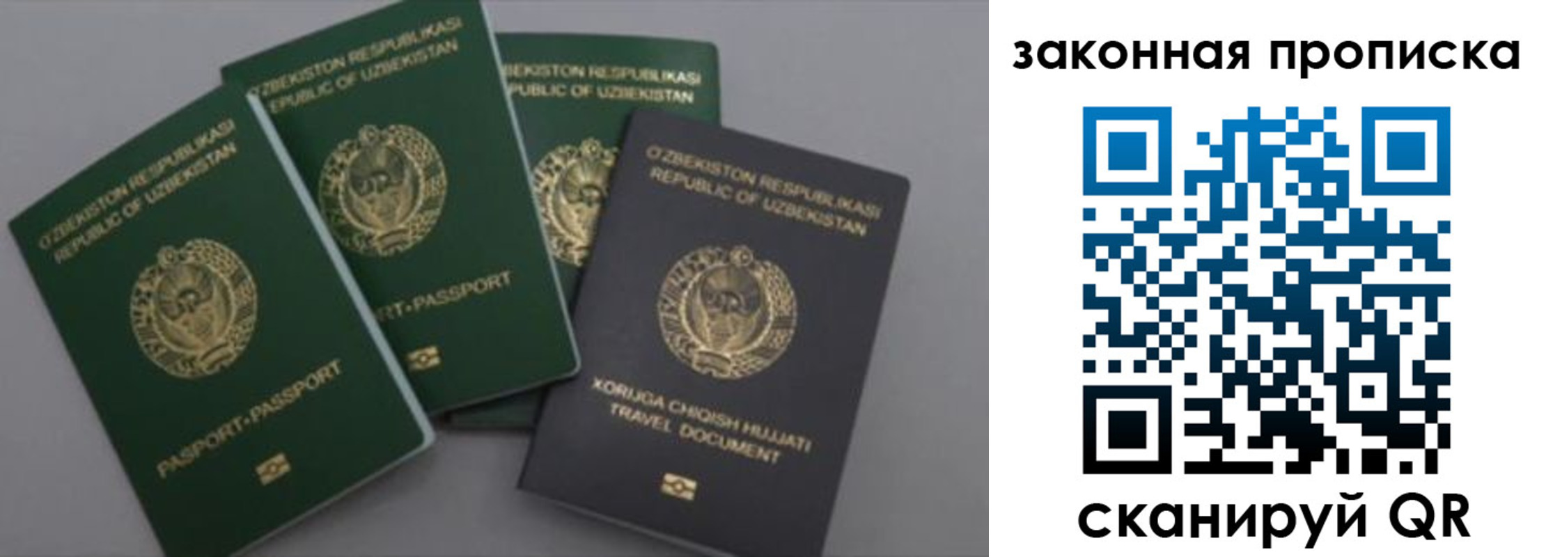прописка законно в Ясном